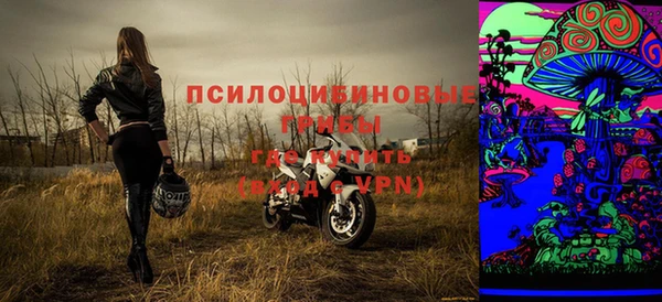прущие грибы Заволжье