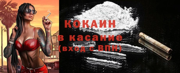 ешки Алексин