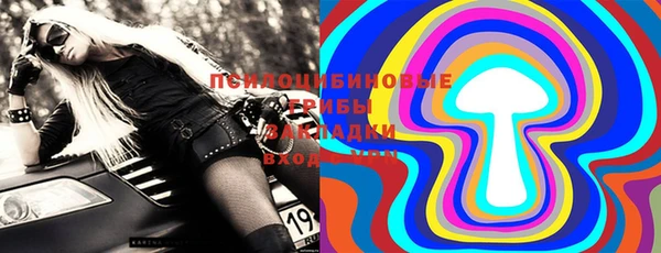 ешки Алексин