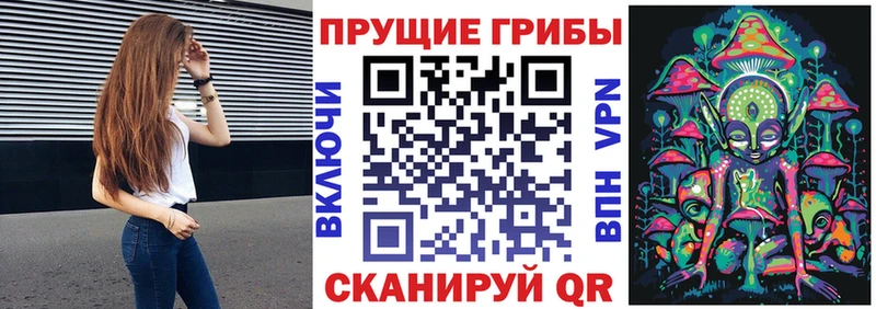 Псилоцибиновые грибы MAGIC MUSHROOMS  сколько стоит  Венёв 