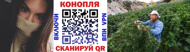Шишки марихуана сатива  Венёв 